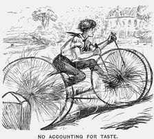 No Accounting for Taste 1866