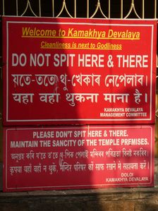 No spitting street sign in India, 2019. Creator: Unknown