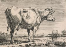 No title. (Cattle study.), c.1798. Creator: Pieter Gerardus van Os