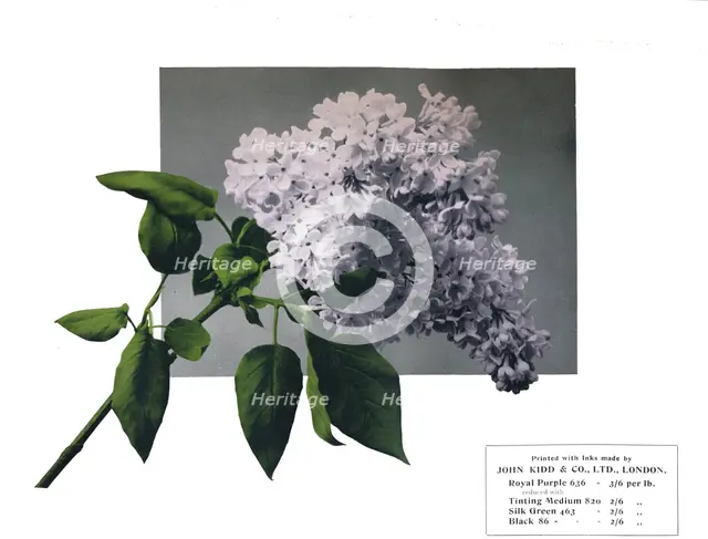 'No title - John Kidd'& Co. Ltd.'s sample', 1910. Artist: Unknown.