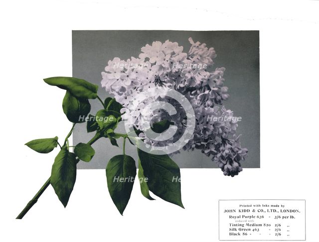 'No title - John Kidd'& Co. Ltd.'s sample', 1910. Artist: Unknown.