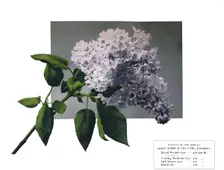 No title - John Kidd'& Co. Ltd.'s sample 1910