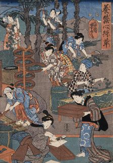 Notes on Sericulture, 19th century. Creator: Utagawa Yoshitora
