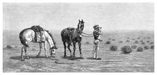 Nothing in Sight 1886.Artist: Frank P Mahony