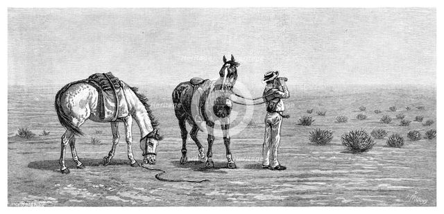 'Nothing in Sight', 1886.Artist: Frank P Mahony