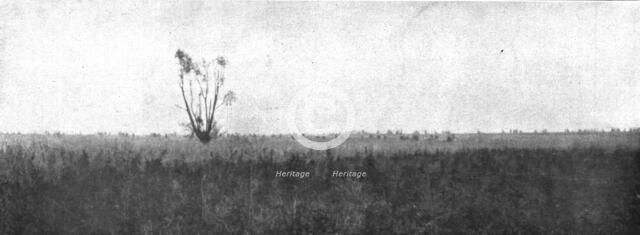 'Notre Attaque du 12 septembre 1916 ; Le saule est depasse ; nos fantassins, detaches en silhouettes Creator: Unknown.