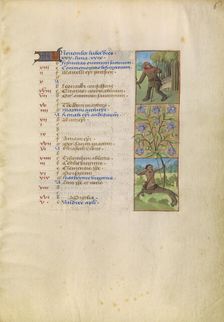 November Calendar Page; Gathering Acorns for Pigs; Sagittarius; Katherine Hours, about 1480-1485. Creator: Unknown