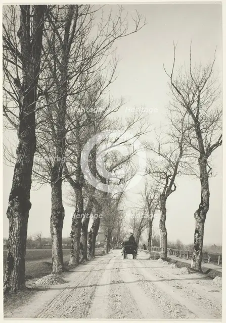 November Days, 1887, printed 1920/39. Creator: Alfred Stieglitz.
