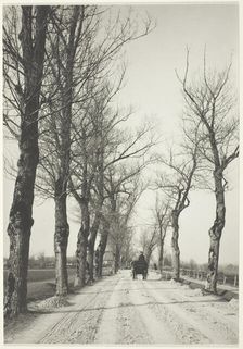 November Days, 1887, printed 1920/39. Creator: Alfred Stieglitz