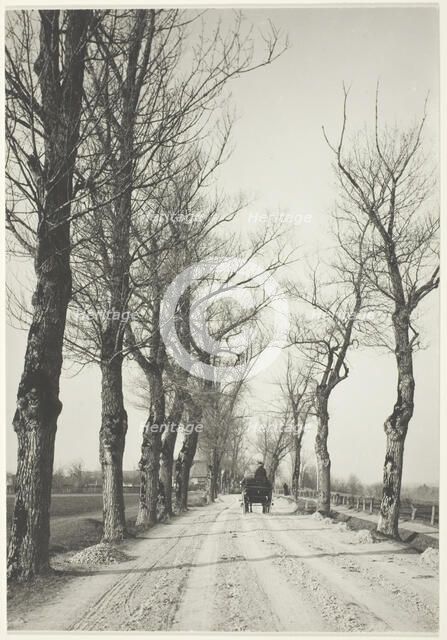 November Days, 1887, printed 1920/39. Creator: Alfred Stieglitz.