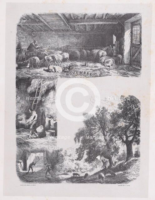 November from Album of Rustic Subjects, 1859. Creator: Jacques-Adrien Lavieille.
