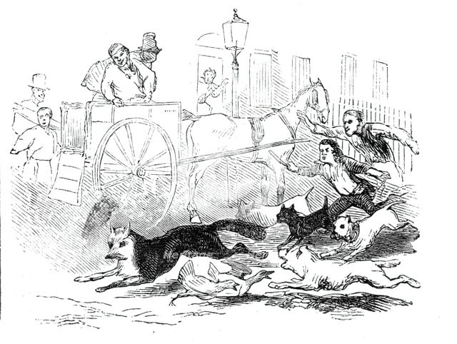 Novel fox hunt, 1844. Creator: Unknown.