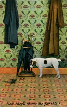 Now they'll blame me for this? c1910.Artist: Holmfirth Bamforth and Co