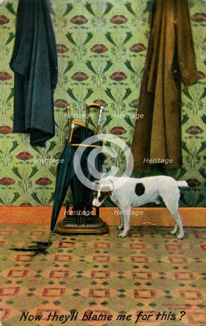'Now they'll blame me for this?', c1910.Artist: Holmfirth Bamforth and Co
