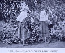 "Now we'll give some to the big garden borders", 1908. Creator: Unknown