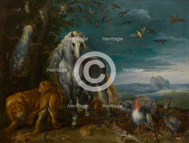 Noah's Ark. Creator: Jan van Kessel.