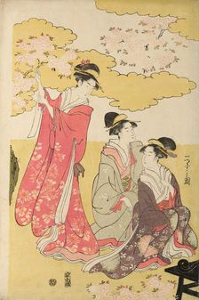 Noble woman in a carriage viewing cherry blossoms, c. 1796. Creator: Hosoda Eishi