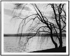 Nocturne in blue and silver, between 1900 and 1920. Creator: Unknown
