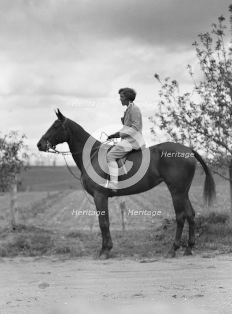 Noland, Charlotte, Miss, on horseback, 1931 May 8. Creator: Arnold Genthe.