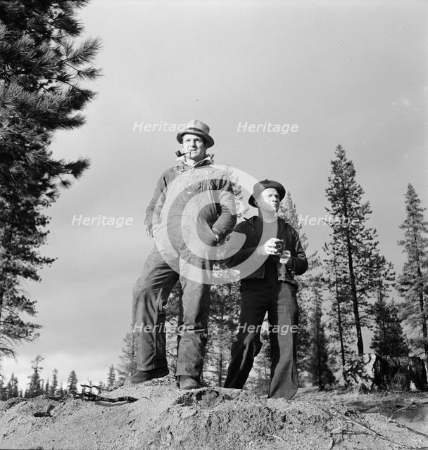 Non-farm migrants from Mississippi, came west in 1935, Gilchrist, Oregon, 1939. Creator: Dorothea Lange.