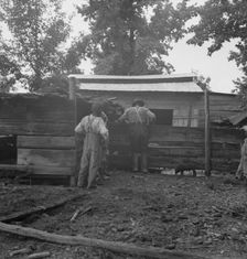 Noon time chores of Negro tenant farmer..., Granville County, North Carolina, 1939. Creator: Dorothea Lange
