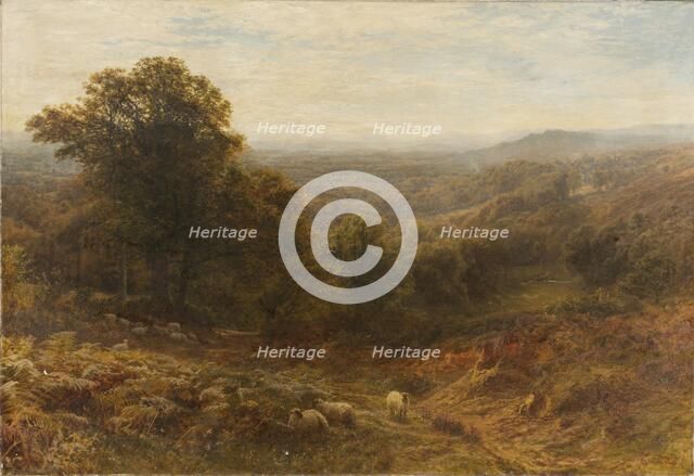 'Noon on the Surrey Hills', 1853-1893. Artist: George Vicat Cole.