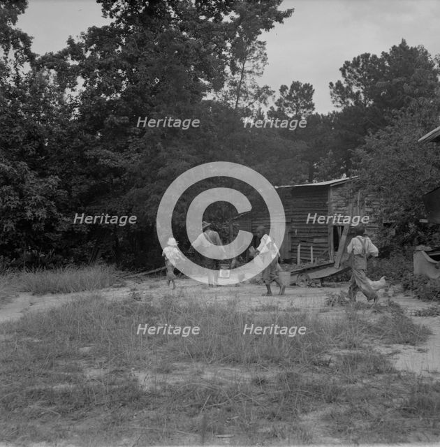 Noontime chores on Negro tenant farm, Granville County, North Carolina, 1939. Creator: Dorothea Lange.