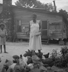 Noontime chores: feeding chickens..., Granville County, North Carolina, 1939. Creator: Dorothea Lange