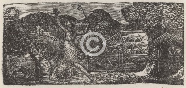 'Nor Fox, nor Wolf, nor Rat among our Sheep', 1821. Creator: William Blake.