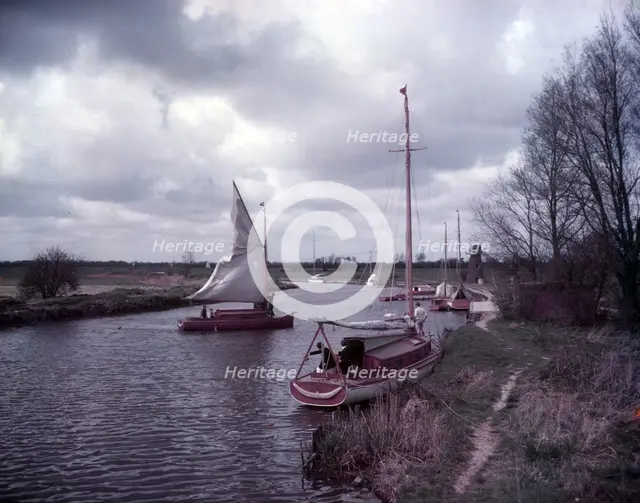Norfolk Broads, c1955. Creator: Arthur Charles Kirby Ware.