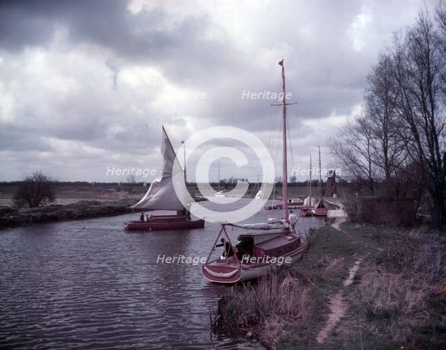 Norfolk Broads, c1955. Creator: Arthur Charles Kirby Ware.