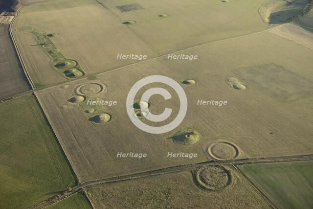 Normanton Down barrow cemetery, near Stonehenge, Wiltshire, c2012. Artist: Damian Grady.