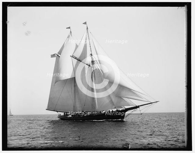 Norseman, 1888 Aug 10. Creator: Unknown.