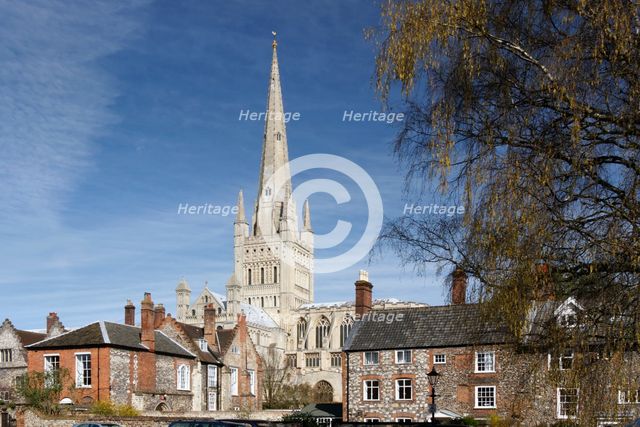 Norwich Cathedral, Norfolk, 2010. Creator: Peter Thompson.