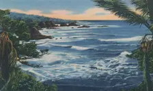 North Coast, Trinidad, B.W.I. c1940s. Creator: Unknown