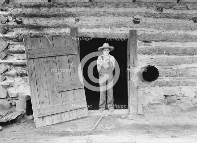 North Carolina farm boy in doorway of tobacco barn, Person County, North Carolina, 1939. Creator: Dorothea Lange.