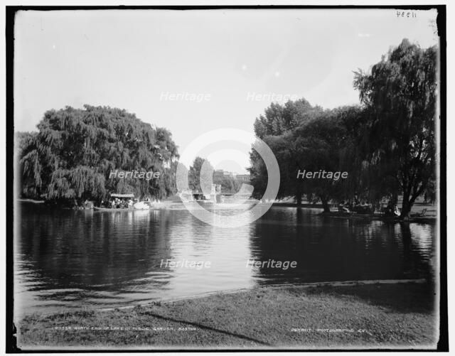 North end of lake in Public Garden, Boston, between 1890 and 1899. Creator: Unknown.