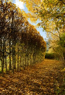 North Orbital Road, Broadwater Park, Denham, Buckinghamshire, 2018. Creator: Chris Redgrave