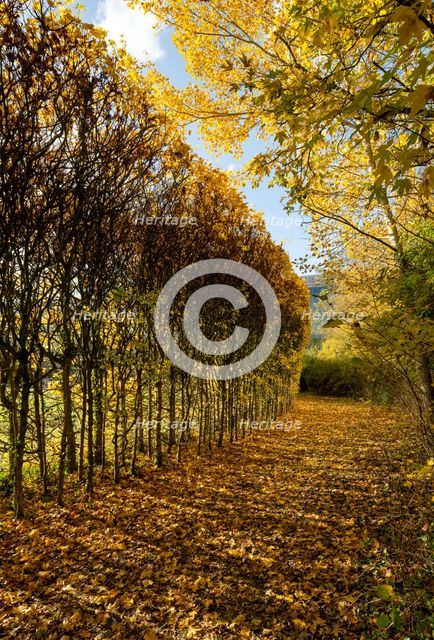 North Orbital Road, Broadwater Park, Denham, Buckinghamshire, 2018. Creator: Chris Redgrave.