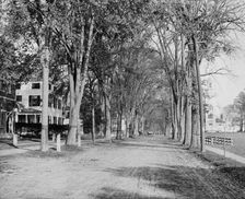 North Main Street, Dartmouth College, ca 1900. Creator: Unknown
