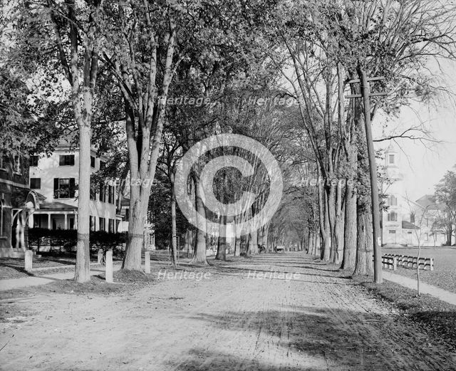 North Main Street, Dartmouth College, ca 1900. Creator: Unknown.