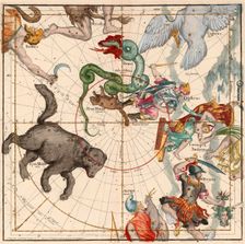 North Pole, Plate 1 from Globi coelestis in tabulas planas redacti descriptio, 1674
