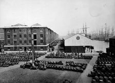 North Quay and Western Dock, London Docks, Stepney, London, before 1896. Artist: Alfred Newton & Sons