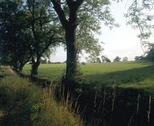 Northallerton Battlefield, North Yorkshire, 1994. Artist: John Critchley