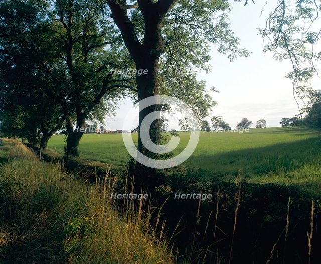 Northallerton Battlefield, North Yorkshire, 1994. Artist: John Critchley