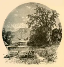 Northampton Meadows 1874. Creator: Meeder & Chubb
