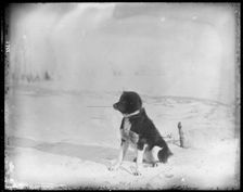 Northern Alaska Exploring Expedition, 1884-1886. Creator: Unknown