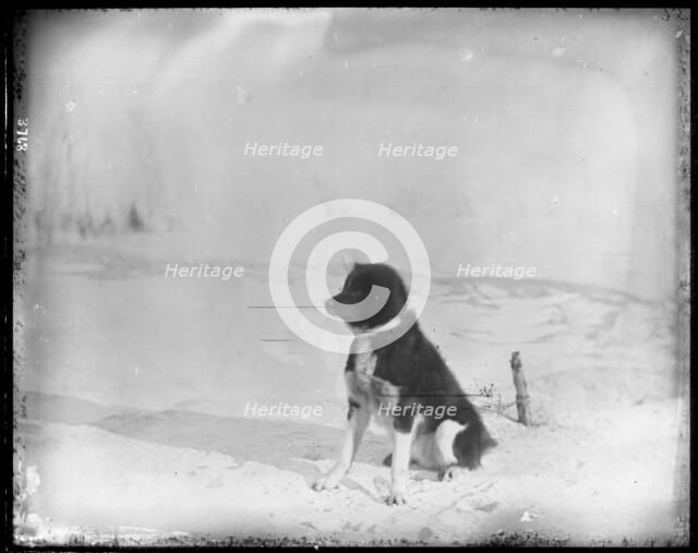 Northern Alaska Exploring Expedition, 1884-1886. Creator: Unknown.