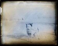 Northern Alaska Exploring Expedition, 1884-1886. Creator: Unknown