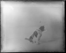 Northern Alaska Exploring Expedition, 1884-1886. Creator: Unknown